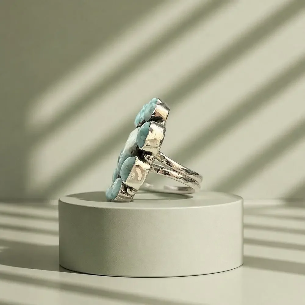 & Other Stories statement larimar